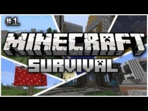 Minecraft ეპიზოდები დავიწყე???|minecarft ქართულად